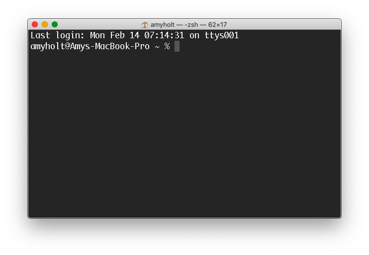 Screenshot of Terminal window